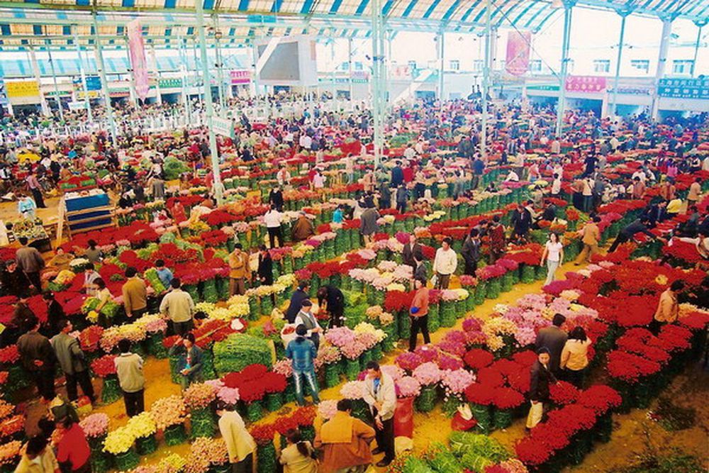 Chợ hoa lớn nhất châu Á tại Trung Quốc